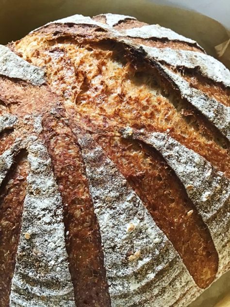 Wholemeal Flour Recipes, Dark Rye Bread Recipe, Wholemeal Bread Recipe, Easy Sourdough Starter, Sourdough Bread Starter, Whole Wheat Pancakes, Wheat Pancakes, Brunch Bread, Bread Starter