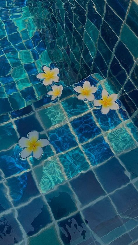 Swimming Pool, Floating, Swimming, Pool, Wallpapers, Water, Flowers, Blue, White