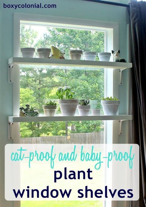 DIY Window Plant Shelves tutorial: Baby and Cat proof (or at least baby and cat resistant) Window Plant Shelves, Window Shelf For Plants, Window Plant Shelf, Mini Loft, Diy Regal, Plant Window, Window Shelves, Window Plants, Cat Proofing