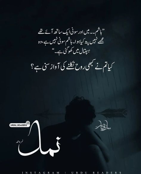 Namal Novel Lines, Namal Novel, Novel Cover, Poetry Words, Cover Page, Poetry, Quick Saves