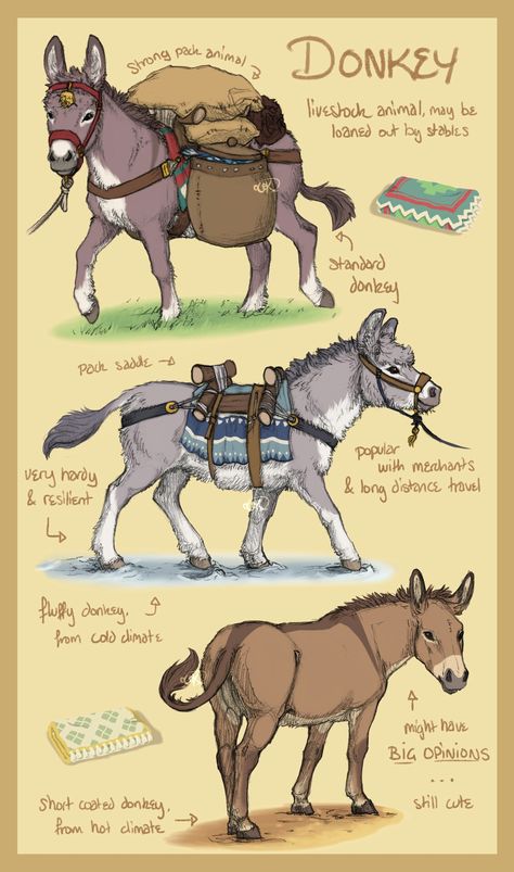 Cute Donkey Drawing Art, Donkey Drawing, Horse Art Drawing, Perspective Drawing Architecture, Animal Doodles, Horse Drawings, Animal Sketches, Anime Drawings Tutorials, Donkeys