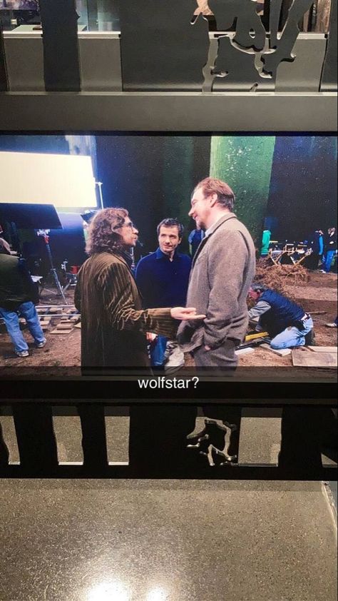 Wolfstar💞 Harry Potter Remus And Sirius, Remus Lupin Behind The Scenes, Remus Lupin Movie, Kneazle Harry Potter, Remus Lupin X Sirius Black, Sirius Black Fan Cast, Lupin X Sirius, Sirius Black X Remus Lupin, Moony And Padfoot