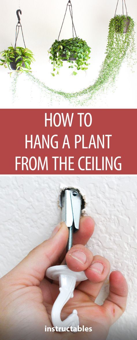 Hanging Plants On Fence, Hanging Plants Indoor Bedroom, Hang Plants From Ceiling, Hanging Plants Outdoor, Hanging Plants Diy, Plants In Pots, Artificial Hanging Plants, نباتات منزلية, Hanging Plant Holder