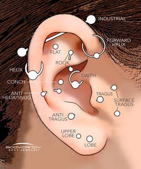 Location: through the flesh above and/or adjacent to the cartilage of the tragus Jewelry: initially, a surface bar will be used ranging from 18 gauge (1mm) to 1 Percinings Ear Ideas Chart, Percing Tragus, Tragus Vertical, Piercing No Lóbulo, Piercings Corps, Piercing Surface, Ušný Piercing, Piercings Oor, Ear Piercing Names