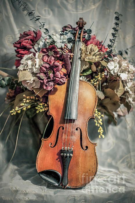 Violin and Flowers by Chellie Bock Violin, Wall Art, Flowers, Art