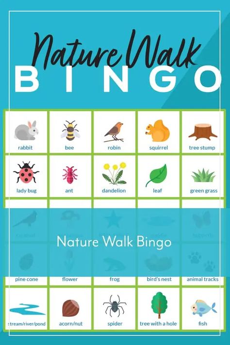 Nature Bingo, Bingo Printable Free, High School Electives, Neighborhood Walk, Bingo For Kids, Teaching Spelling, Nature Trails, Nature School, How To Start Homeschooling