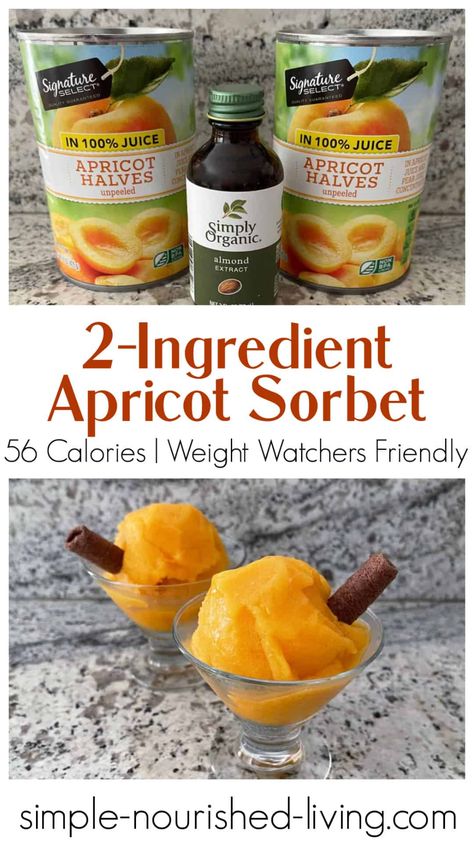 Apricot Sorbet, Apricot Dessert, Chocolate Sorbet, Low Calorie Fruits, Apricot Recipes, Low Fat Snacks, Fruit Sorbet, Recipe Builder, Feed Bag