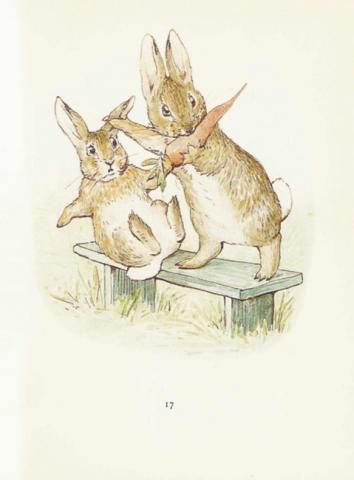 Beatrix Potter, Fabulist | Rare Books and Special Collections Beatrix Potter Illustrations, Beatrice Potter, Peter Rabbit And Friends, Potter Art, 22 December, Bunny Art, Funny Birds, Art Et Illustration, Art And Illustration