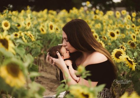 Sunflower Family Pictures Newborn, Newborn Sunflower Field Pictures, Sunflower Newborn Pictures, Newborn Sunflower Photoshoot, Sunflower Field Baby Photoshoot, Baby Sunflower Photoshoot, Sunflower Family Pictures, Sunflower Shoot, Sunflower Maze