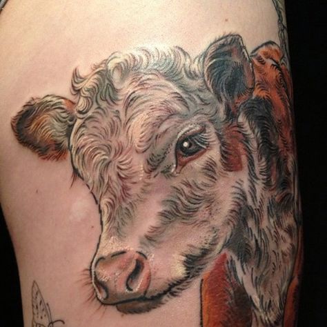 Hereford calf  (at Butterfat Studios) @jamiegemmel - this tattoo artist is right around the corner from me. Hereford Tattoo, Bull Shoulder Tattoo, Hereford Cow Tattoo, Longhorn Cow Tattoo, Cow Tattoo Design, Shading Examples, Cow Tattoo Ideas, Cow Tattoos, Cowboy Tattoo