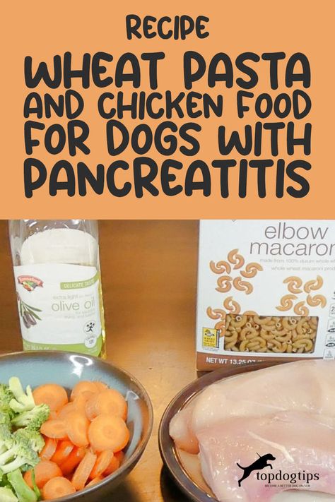 homemade chicken and wheat pasta dog food recipe for dogs with pancreatitis Pancreatic Diet Recipes, Pasta And Chicken, Chicken Dog Food Recipes, Food For Dogs, Diy Dog Food, Best Treats For Dogs, Pasta Chicken, Wheat Pasta, Whole Wheat Pasta