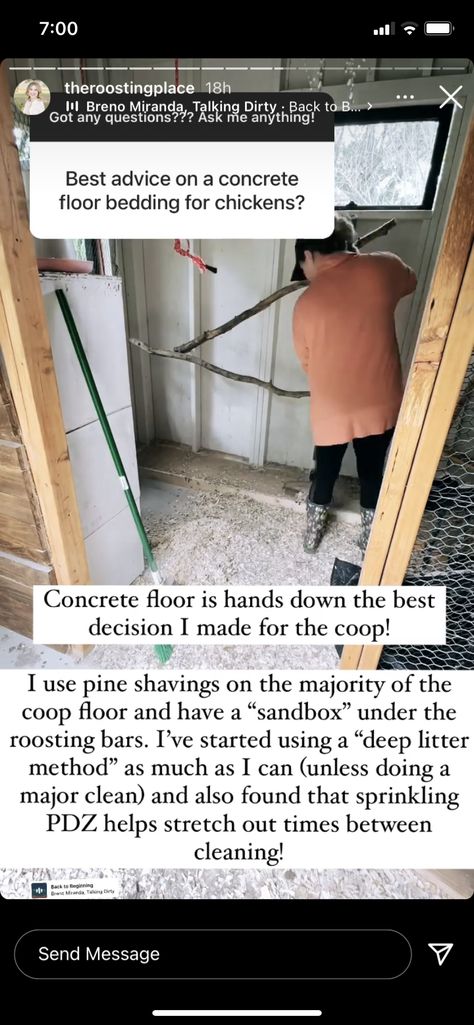 Chicken Coop Concrete Floor, Concrete Floor Chicken Coop, Chicken Coop Flooring Bedding, Chicken Coop Flooring, Pine Shavings, Clean Concrete, Chicken Farming, Backyard Chicken Farming, Raising Backyard Chickens