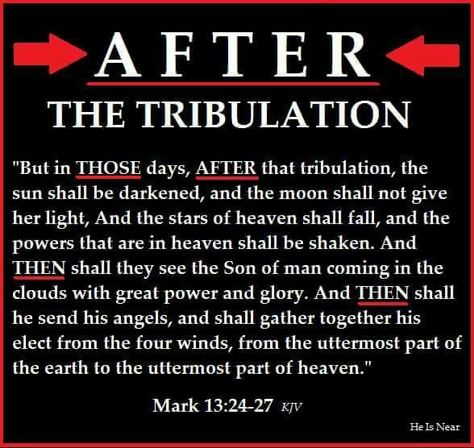 The Church will experience the entire Great Tribulation. Pre-trib rapture is not Biblical.  #Christian #Christ #Christianity #JesusIsGod #Jesus #JesusChrist #JesusLovesYou #Acts238 #John316 #John824 #John146 #PreTrib #PostTrib #MidTrib #EndTimes #EndTime #GreatTribulation #Tribulation #Rapture Post Tribulation Rapture, False Doctrine, Pre Tribulation Rapture, Revelation Bible Study, Christian Ideas, Psalms 91, The Antichrist, Revelation Bible, The Second Coming