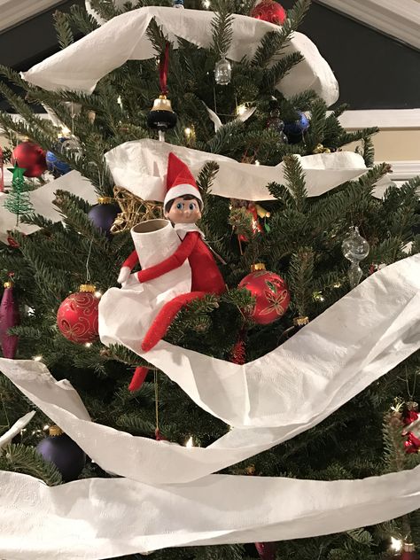 Elf On The Christmas Tree, Elf Tp Christmas Tree, Elf Decorating Christmas Tree, Elf On The Shelf Toilet Paper Tree, Elf On The Shelf Toilet Paper Reindeer, Elf Toilet Paper Tree, Elf On Shelf Decorating Christmas Tree, Elf Swinging On Toilet Paper Roll, Elf On Christmas Tree