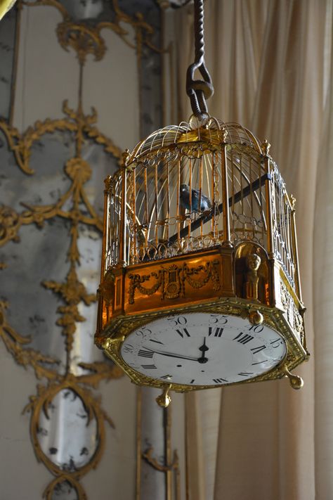 Marie Antoinette's Paris | ombrescureinunanottelimpida:     Reggia di Caserta Golden Cage Aesthetic, Bird Cage Aesthetic, Dark Academia Bedroom, Golden Cage, Antique Bird Cages, Bird Cage Decor, Vintage Bird Cage, Dream Furniture, Birdcages