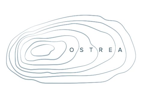 Ostrea Logo Concept 2  #ostrea #logo #oysters #muscles #fluid #ocean… Fluid Logo, Lineart Illustration, Logos Photography, Logo Youtube, Logo Instagram, Food Logo Design, Logo Luxury, Sketching Drawing, Identity Branding