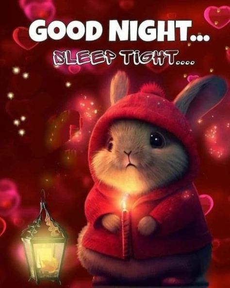 Sweet Dreams Sleep Tight, Good Night Blessings Quotes, Sweet Dream Quotes, Good Morning Hug, Good Night Prayer Quotes, Heartwarming Quotes, Beautiful Good Night Quotes, Good Night Sleep Tight, Night Pics