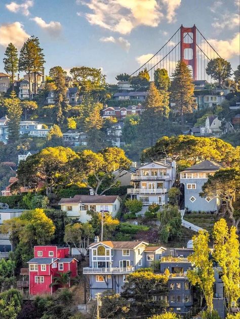 San Francisco Aesthetic Pictures, The Golden Gate Bridge, San Francisco Travel, San Francisco City, A Short Story, California Love, San Fran, California Dreaming, Jolie Photo