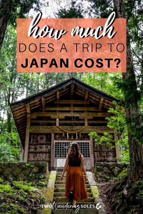 Japan On A Budget, Merle Australian Shepherd, Travel In Japan, Win The Lottery, Japanese Travel, Japan Vacation, Japan Travel Tips, Trip To Japan, Zip Line