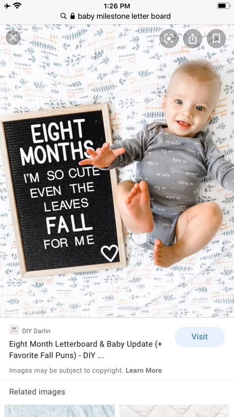 8 Month Milestones Baby, 8 Month Baby Photoshoot, Baby Bump Progression, Monthly Photoshoot, 8 Month Baby, Letterboard Ideas, Baby Boy Newborn Pictures, Photoshoot Boy, Baby Boy Newborn Photography