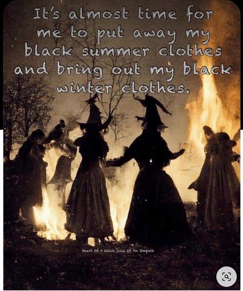 Samhein Greetings, Nature Witch Clothing, Witches Night Out, Witch Powers, Witch Pictures, Funny Witch, Witch Quotes, Wiccan Spell Book, Witchcraft Spell Books