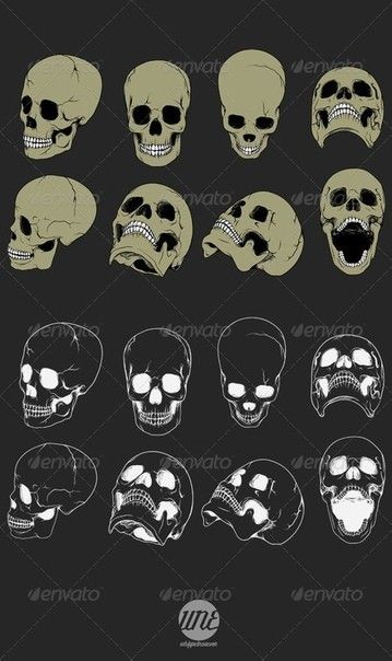 Zombie Realistic, Skull Artwork Illustrations, Realistic Skeleton, Realistic Skull, Skull Anatomy, Skull Reference, Skull Stencil, Skeleton Drawings, Elements Illustration