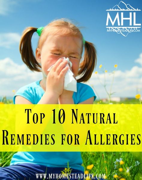 Top 10 Natural Remedies for Allergies Remedies For Allergies, Seasonal Allergy Symptoms, Home Remedies For Allergies, Natural Remedies For Allergies, Kids Allergies, Allergy Remedies, Natural Healing Remedies, Allergy Relief, Stuffy Nose