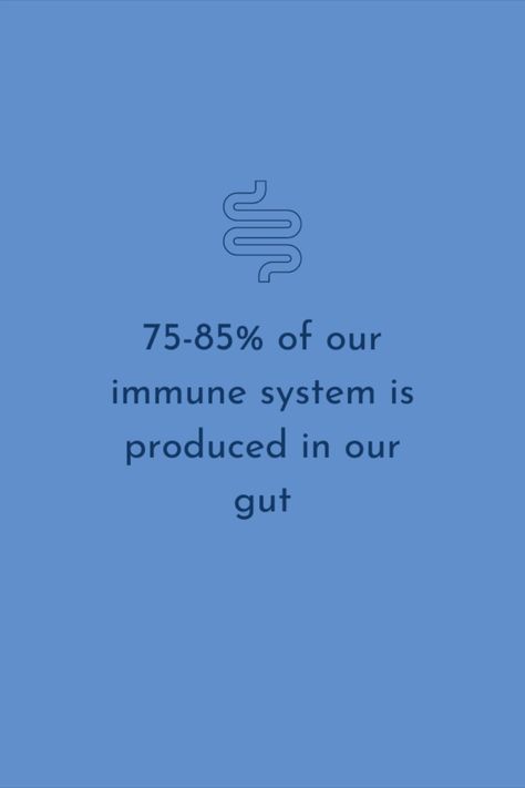 Gut Health Importance, Gut Health Quotes Healthy, Healthy Gut Quotes, Gut Health Quotes, Gut Health Aesthetic, Gut Quotes, Gut Health Facts, Health Graphics, Gut Health Tips