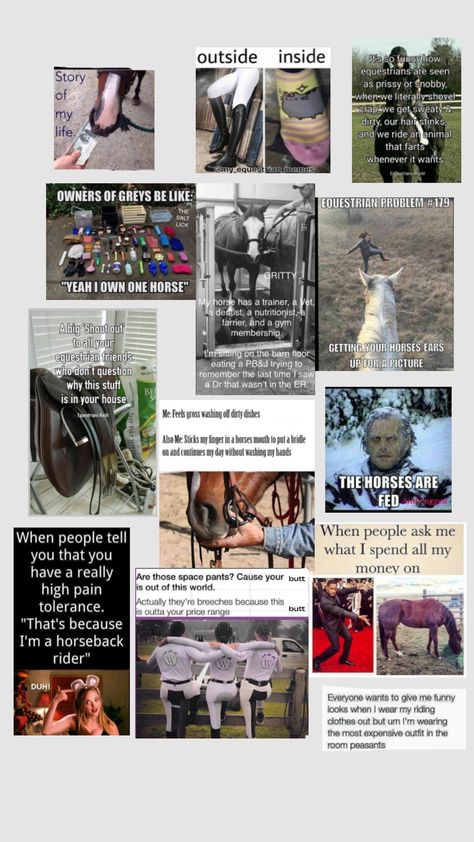 Equestrian Memes, Salt Lick, Equestrian Problems, Horse Ears, Funny Horses, Girl Memes, Horse Girl, Country Girls, Creative Play