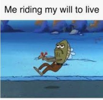 Live Meme, Will To Live, So Done, Funny Bones, Spirit Animals, Dark Memes, Spongebob Memes, Kid Memes, Really Funny Memes