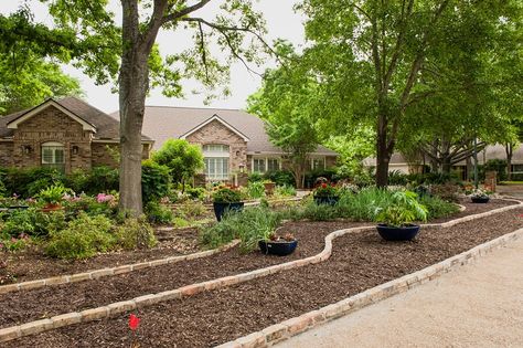 Front yard makeover no grass: Doris Reagan | Central Texas Gardener Front Yard Makeover, Gravel Gardens, Landscaping Around Pool, Texas Plants, Yard Makeover, Texas Garden, Grass Design, Grass Landscape, No Grass Backyard