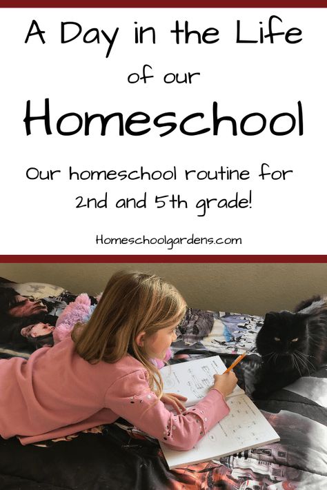 5th Grade Homeschool, Literature Based Curriculum, Abeka Homeschool, Middle School Science Experiments, Homeschool Supplies, Homeschool Routine, School Schedule, Homeschool Schedule, Homeschool Life