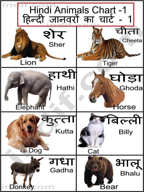 Hindi terms for a few common animals Animals Meaning, Animal Chart, अंग्रेजी व्याकरण, Hindi Alphabet, Sanskrit Language, Hindi Language Learning, Learn Hindi, Hindi Worksheets, Hindi Books