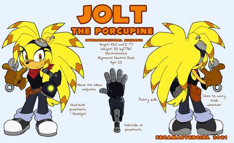 Sonic Porcupine Oc, Sonic Idw, Sonic Collection, Sonic Drawing, Draw Sonic, Sonic Ocs, How To Draw Sonic, Sonic Underground, Sonic Fanart