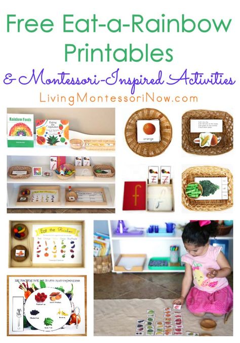 Perfect for a healthy nutrition unit, this post contains lots of free eat-a-rainbow printables & Montessori-inspired activities for preschool - first grade. Rainbow Activities, Nutrition Activities, Nutrition Month, Nutrition Quotes, Sport Nutrition, Activities For Preschool, Calming Activities, Rainbow Food, Holistic Nutrition