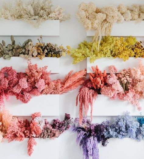 Dyed Flowers, Boho Flower Girl, Everlasting Flowers, Flower Installation, Flower Bar, Preserved Flowers, Rainbow Wall, Dried Floral, Flower Lover