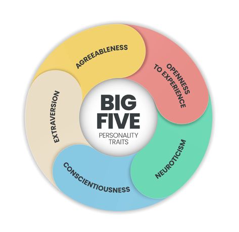 Dive into the Big 5 Personality Traits to gain a better understanding of human personality and individual differences. Discover how characteristics like Openness, Conscientiousness, Extraversion, Agreeableness, and Neuroticism shape who we are and the choices we make in life. Big 5 Personality Traits, 5 Personality Traits, Big 5 Personality, Big Five Personality Traits, Family Resources, Human Personality, Big 5, Interpersonal Relationship, Exam Study