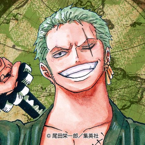 Twitter Zoro Icons, One Piece Pfp, Zoro Roronoa, Colored Manga, One Piece Icons, Zoro One Piece, One Piece Pictures, Roronoa Zoro, One Piece Manga