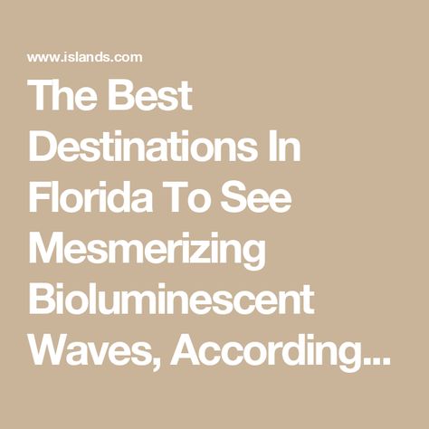 The Best Destinations In Florida To See Mesmerizing Bioluminescent Waves, According To Visitors Glowing Plankton, Bioluminescent Plankton, Kelly Park, Indian River Lagoon, Tourism Marketing, Merritt Island, Thousand Islands, Indian River, Visit Florida