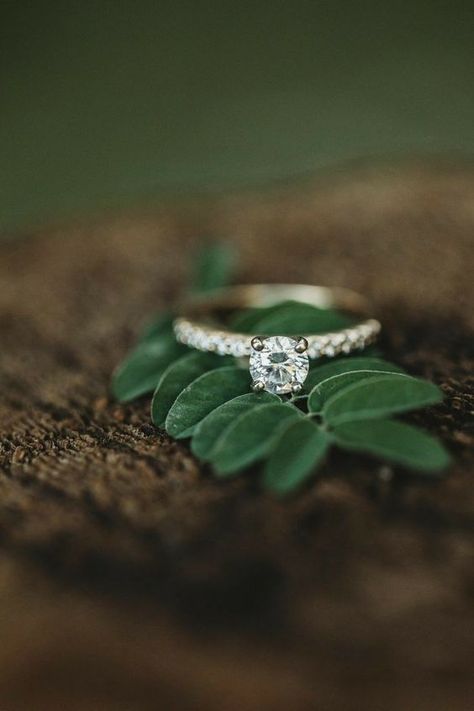 40s Wedding, Engagement Ring Photography, Wedding Rings Couple, Ring Photoshoot, Engagement Ring Nature, Wedding Ring Photography, Vista House, Photographing Jewelry, Ring Photography