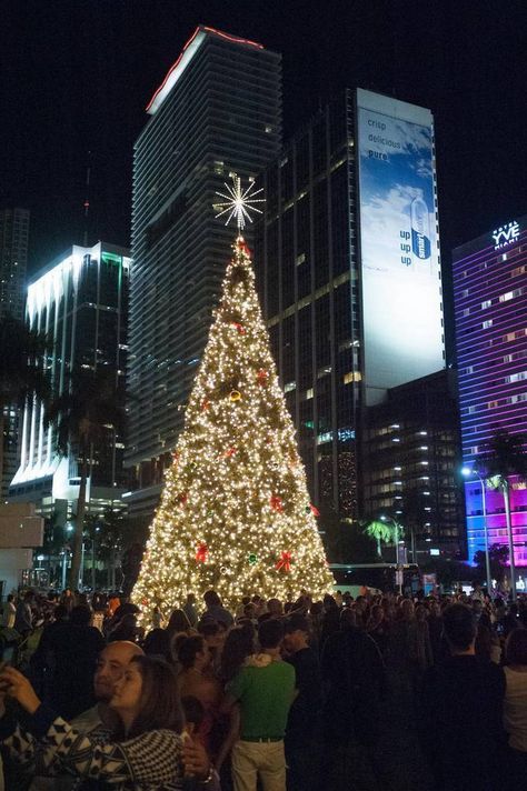 Hundreds of people turned out for the annual Christmas tree lighting at Bayfront Park in downtown Miami, Friday, Nov. 27, 2015. The free event was open to the public and featured holiday music, a bazaar, and food trucks. Bayfront Park Miami, Miami Christmas, Downtown Miami, Holiday Music, Music A, Free Event, Food Trucks, Tree Lighting, Christmas Tree Lighting