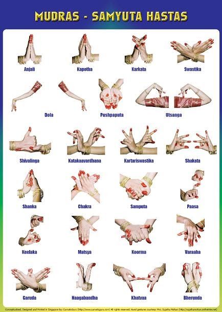 Mudras - Samyutha Hasta Samyutha Hasta Hastas Classical Dance Mudras, Dance Mudras, Carnatic Music, Bharatanatyam Poses, Physical Theatre, Hand Mudras, Classical Dance, Indian Art, Belly Dance