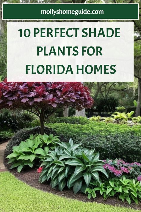 Explore the best shade plants for your Florida garden! Discover top choices that thrive in Florida's climate, including tropical flowers and ground cover plants. Create a lush tropical oasis with these perfect perennials that can withstand the Florida heat. From vibrant blooms to year-round greenery, these beautiful plants are ideal for any garden setting in Florida. Whether you're revamping your backyard or starting a new garden project, these shade-loving options will bring color and life to y Flower Beds In Front Of House Florida, Florida Outdoor Plants, Flax Lily Landscape Ideas, Full Shade Landscaping, Tropical Flower Bed, Low Light Plants Outdoor, Tropical Plants Outdoor Full Sun, Florida Landscaping Ideas Front Yards, Plants In Florida