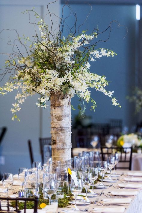 Birch Wedding Decor, Birch Centerpieces, Beaver Creek Wedding, Creek Photography, Beaver Creek Colorado, Birch Wedding, Wedding Flowers Hydrangea, Flowers Hydrangea, Mountain Weddings