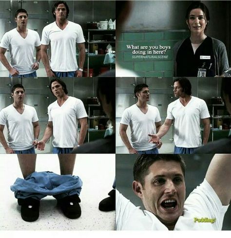 Pudding 2 Supernatural Pudding, Supernatural Fandom, Art Memes, Super Natural, Supernatural, Memes, Quick Saves, Art