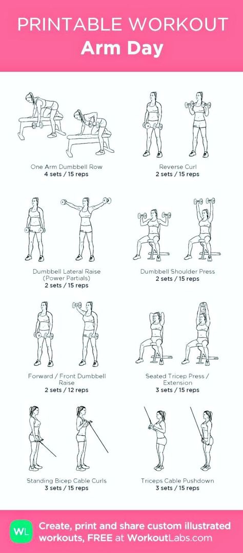 Tone your arms and sculpt your whole body with this full-body gym workout! #armworkout #fullbodyworkout Work Out Plans For Women Gym, Weight Workouts For Women Gym, Gym Arm Workout Women, Gym Workout Routine For Women, Low Back Workout, Gym Routine Women Workout Plans, Weekly Gym Workout Plan For Women, Arm Workout Gym, Weekly Gym Workouts