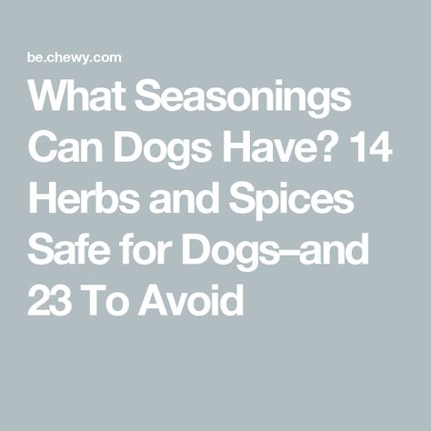 What Seasonings Can Dogs Have? 14 Herbs and Spices Safe for Dogs–and 23 To Avoid Safe Spices For Dogs, Dog Safe Herbs And Spices, Spices Dogs Can Eat, Seasonings Safe For Dogs, Herbs And Spices Safe For Dogs, Spices For Dogs, Spices Good For Dogs, Spices Safe For Dogs, Safe Herbs For Dogs