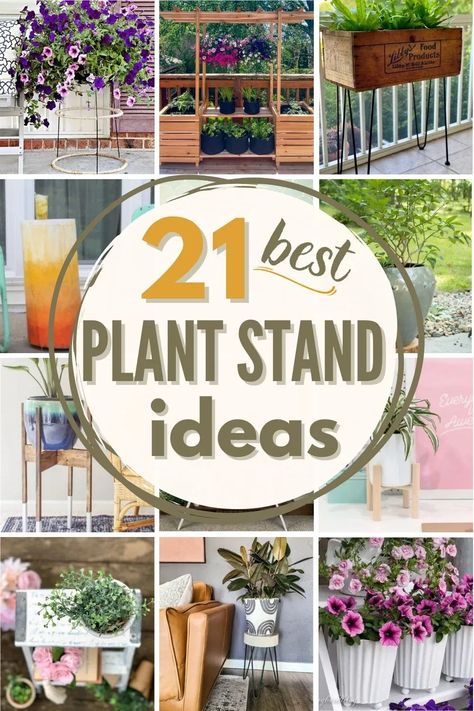 With a few simple supplies and a bit of creativity, you can make an eye-catching display with one of these great DIY plant stand ideas! #DIY #plant #plantstand #DIYplantstand #plantstandideas #DIYplantideas #plants #plantideas #DIYplanters Dyi Plant Stand, Tattoo Trees, Plant Stand Makeover, Plant Stand Decor, Ladder Ideas, Plant Display Ideas, Indoor Plant Wall, Porch Plants, Corner Plant