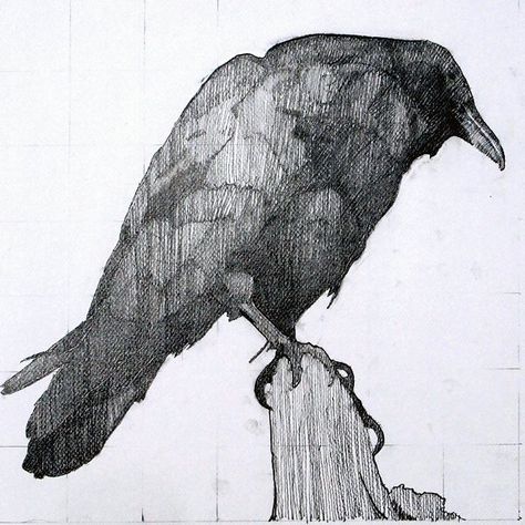 pen and ink Crows Drawing, Fish Sketch, Pen Drawings, Crow Art, Raven Art, Crows Ravens, Tattoo Style Drawings, A Level Art, Doodle Sketch