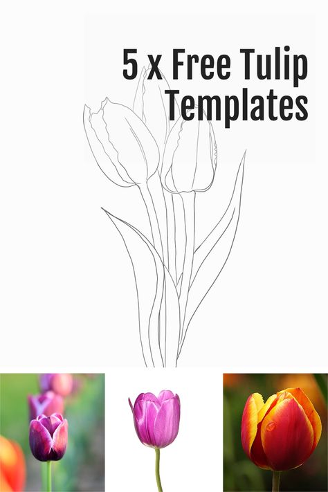 Tulip Templates Printable Free, Tulip Template, Shamrock Template, Tulip Drawing, Most Popular Flowers, Tree Templates, Popular Flowers, Creative Arts And Crafts, Printable Templates